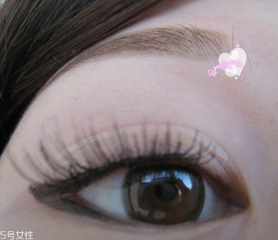 ˫��Ƥ���ĸ����Ӻã�˫��Ƥ����������ÿ�